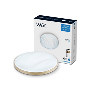 WIZ CL913 Starry Night 冷暖白光天